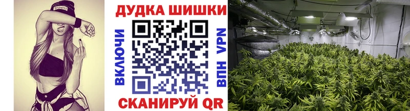 Где купить наркотики Томск МАРИХУАНА Меф KRAKEN ССЫЛКА ГАШ СОЛЬ