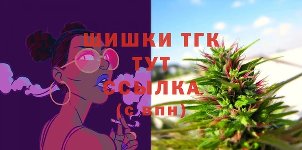 стаф Нефтегорск