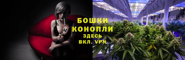 дживик Нижний Тагил