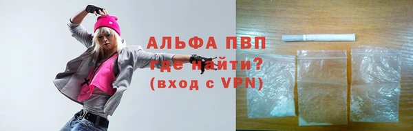 стаф Нефтегорск