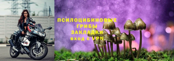 стаф Нефтегорск