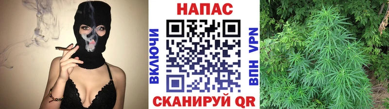 купить закладку  Томск  Канабис White Widow 